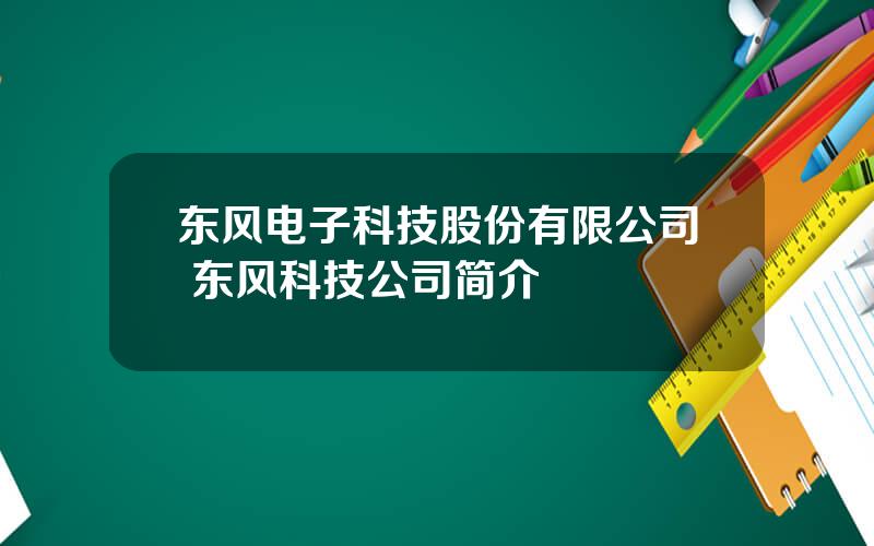 东风电子科技股份有限公司 东风科技公司简介